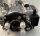 Generalüberholte Original Bosch Dieselpumpe für Vauxhall Vectra 2.2 DTI 16V 1995-2001 92kW 125PS