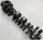 Original BMW Kurbelwelle für BMW 1 2 3 4 5 X1 X3 X4 X5 X6 N55 3.0i Benziner
